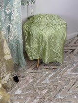 Pakistani Embroidered Party wear  Ready To Ship