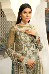 Maryam's Chiffon Embroidered Collection