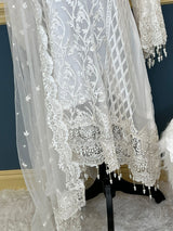 Pakistani Embroidered Party wear  Ready To Ship