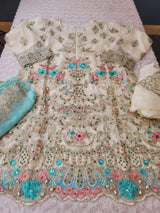 Pakistani Stitched Embroidery Party Wear Dresses Ready To Ship