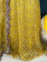 Pakistani Embroidered Party wear  Ready To Ship