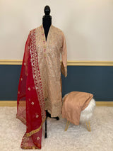 Pakistani Embroidered Party wear  Ready To Ship